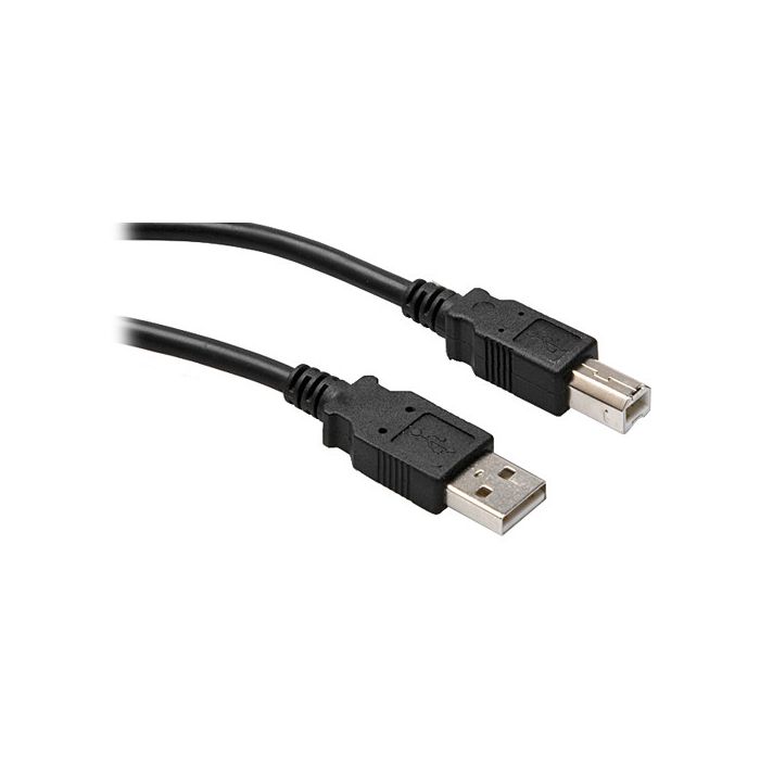 Hosa Technology USB 2.0 Cable A to B (10')